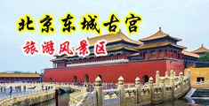 啪啪爽片挺进小穴中国北京-东城古宫旅游风景区